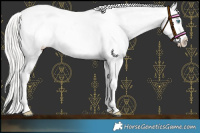Horse Color:Cremello Tobiano Blanket 