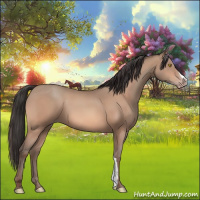 Horse Color:Amber Champagne 