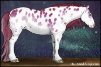 Horse Color:Watercolor Liver Red Onyx Splash Appaloosa 