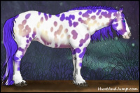 Horse Color:Watercolor Brown Onyx Splash Appaloosa 