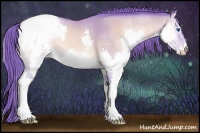 Horse Color:Watercolor Sable Champagne Onyx Splash Appaloosa 