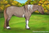 Horse Color:Liver Red Dun Roan Tobiano 