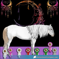 Horse Color:Buckskin Varnish 