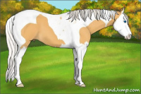 Horse Color:Silver Buckskin Splash Tobiano