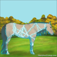 Horse Color:Thunderstruck Classic Champagne Dun