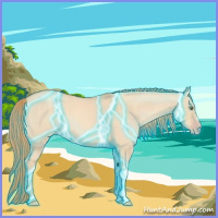 Horse Color:Thunderstruck Gold Champagne Dun 