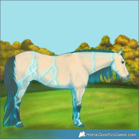 Horse Color:Thunderstruck Buckskin Dun