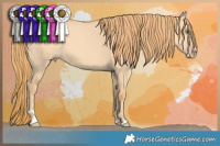 Horse Color:Gold Champagne Dun