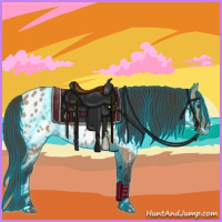 Horse Color:Thunderstruck Bay Dun Appaloosa 