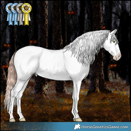 Horse Color:Amber Champagne Dun Appaloosa 