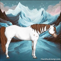 Horse Color:Chestnut Appaloosa