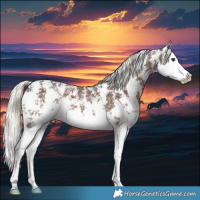 Horse Color:Liver Chestnut Mushroom Sabino Splash 