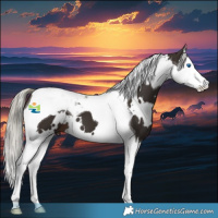 Horse Color:White Spotted Liver Chestnut Mushroom Splash Tobiano 