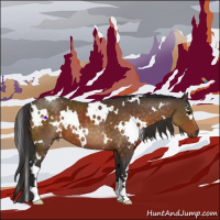 Horse Color:White Spotted Buckskin