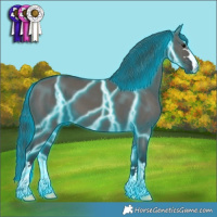 Horse Color:Thunderstruck Grullo 