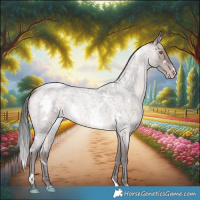 Horse Color:Platinum White Spotted Sable Champagne Roan 