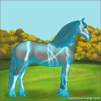 Horse Color:Thunderstruck Grullo Appaloosa 