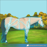 Horse Color:Thunderstruck Bay Dun 