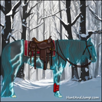 Horse Color:Thunderstruck Black