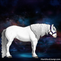 Horse Color:Black Frame 