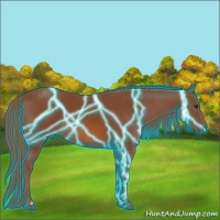 Horse Color:Thunderstruck Chestnut
