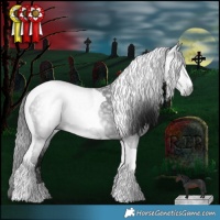 Horse Color:Gray Brown Tobiano