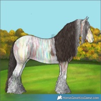 Horse Color:Bay Ice Tobiano Rabicano 