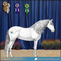 Horse Color:Black Splash Near Fewspot 