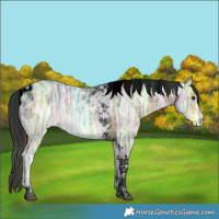 Horse Color:Void Plaid  Brown Ice Tobiano 