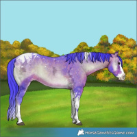 Horse Color:Watercolor Brown Ice Onyx Splash Tobiano 