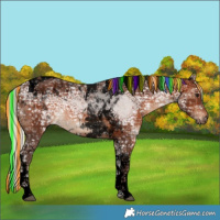 Horse Color:Void Painted Silver Brown Ice Tobiano 