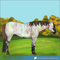 Horse Color:Void Plaid  White Spotted Buckskin Ice 