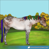 Horse Color:Void Painted White Spotted Brown Ice 