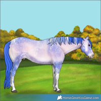 Horse Color:Watercolor Brown Ice Onyx Tobiano 