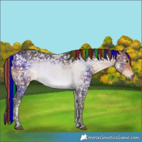 Horse Color:Painted White Spotted Buckskin Ice 