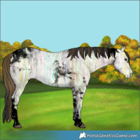 Horse Color:Void Plaid Bay Ice Dun Tobiano