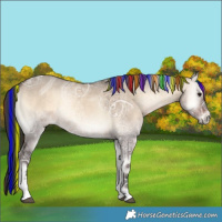 Horse Color:Painted Brown Ice Onyx Tobiano 