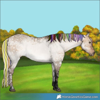 Horse Color:Void Painted Silver Brown Ice Dun Tobiano 