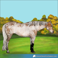 Horse Color:Void Plaid  Silver Brown Ice Tobiano 