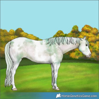 Horse Color:Watercolor Silver Brown Ice Onyx Tobiano Frame 