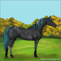 Horse Color:Painted Black Tobiano