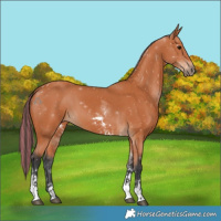 Horse Color:Painted Bay Tobiano 