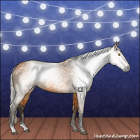 Horse Color:Gray Silver Buckskin 