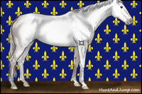 Horse Color:Gray Silver Bay Dun 