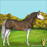 Horse Color:Chocolate Palomino Splash 