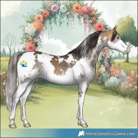 Horse Color:White Spotted Buckskin Splash 