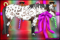 Horse Color:Brown Blanket  and Bay Near Leopard 