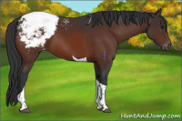 Horse Color:Brown Tobiano Snowcap 