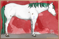 Horse Color:Painted Liver Red Dun Near Fewspot 