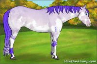 Horse Color:Watercolor Buckskin Dun Splash 